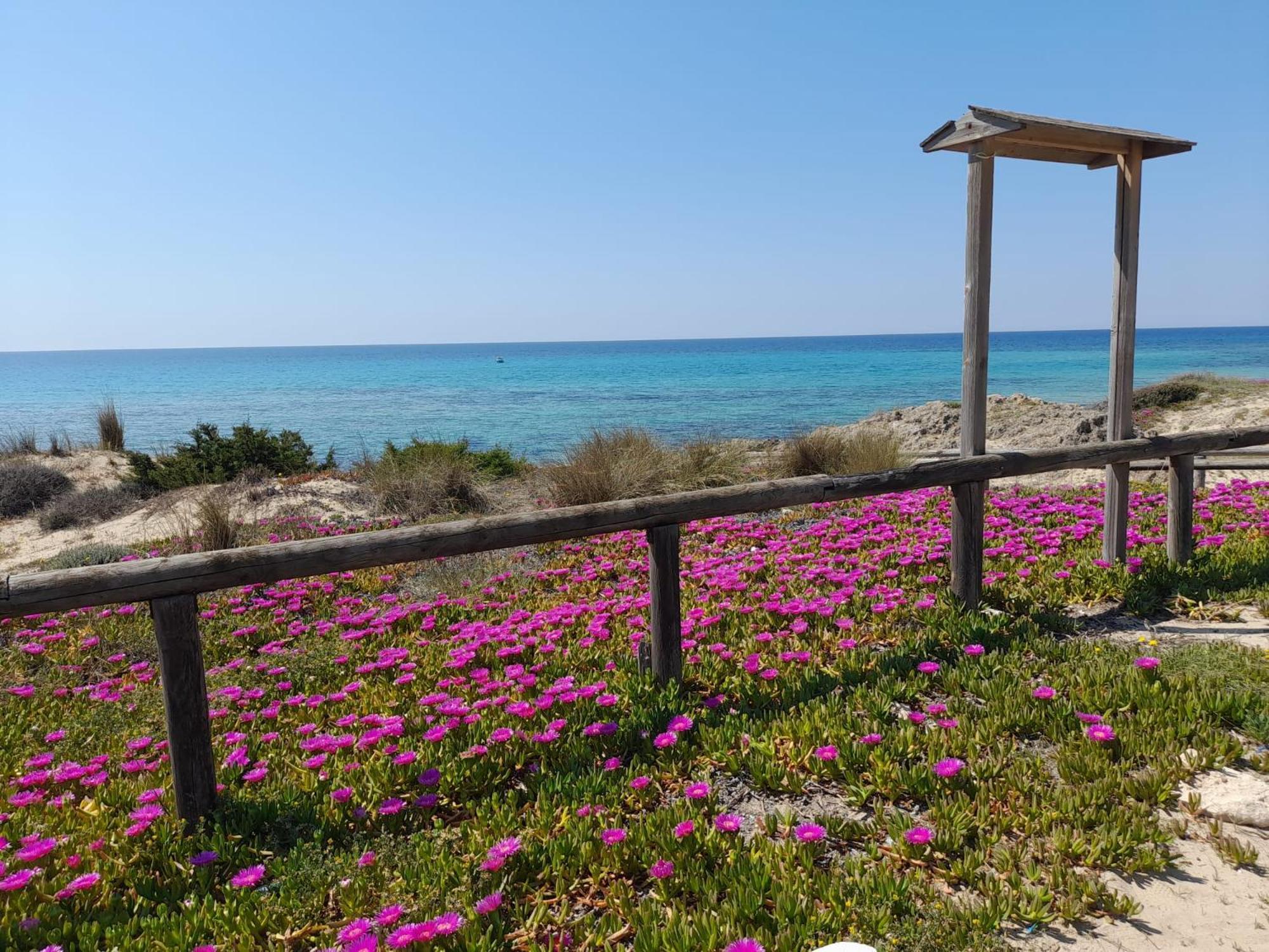 Home Salento 1 Torre Vado Luaran gambar